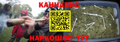 индика Ипатово