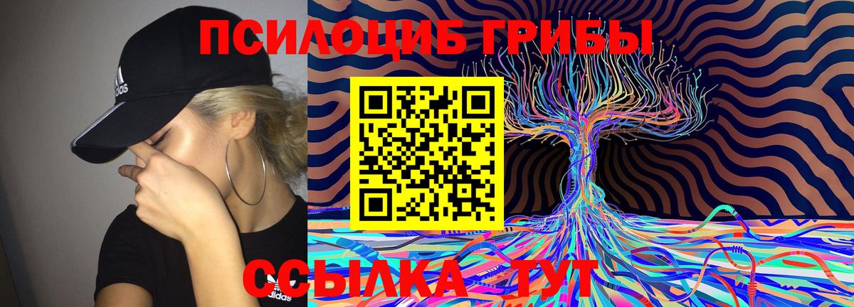 Кстово  Галлюциногенные грибы MAGIC MUSHROOMS  Вход с VPN  Псилоцибиновые грибы GOLDEN TEACHER 