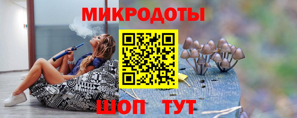 Галлюциногенные грибы Psilocybine cubensis Кстово